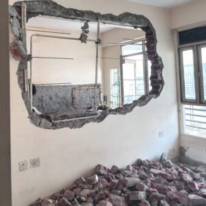 Selective Demolition 101